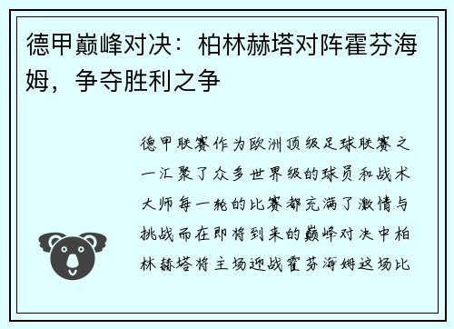 德甲巅峰对决：柏林赫塔对阵霍芬海姆，争夺胜利之争