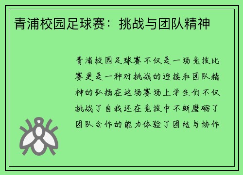 青浦校园足球赛：挑战与团队精神