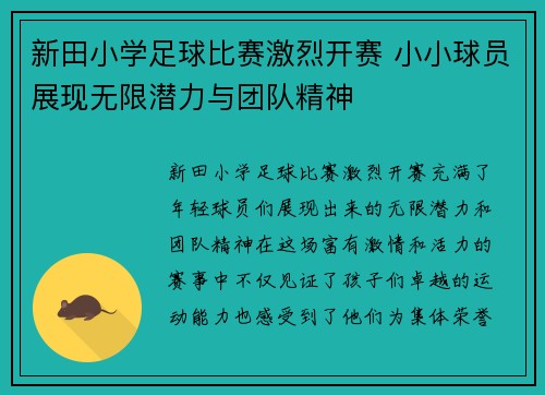 新田小学足球比赛激烈开赛 小小球员展现无限潜力与团队精神