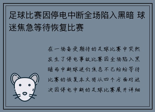 足球比赛因停电中断全场陷入黑暗 球迷焦急等待恢复比赛
