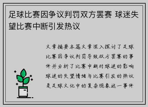 足球比赛因争议判罚双方罢赛 球迷失望比赛中断引发热议