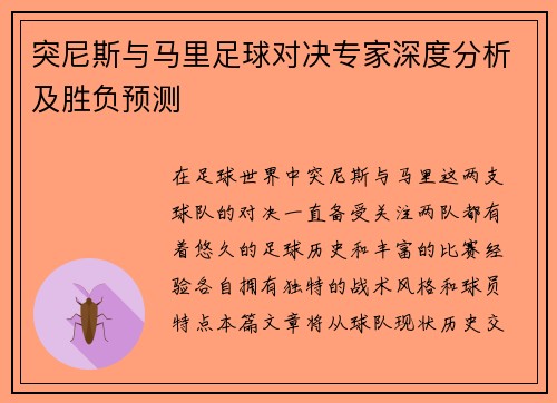 突尼斯与马里足球对决专家深度分析及胜负预测