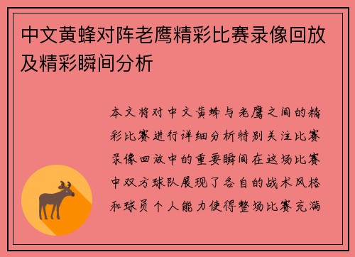 中文黄蜂对阵老鹰精彩比赛录像回放及精彩瞬间分析
