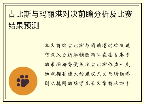 古比斯与玛丽港对决前瞻分析及比赛结果预测