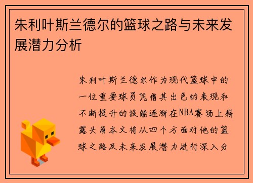 朱利叶斯兰德尔的篮球之路与未来发展潜力分析