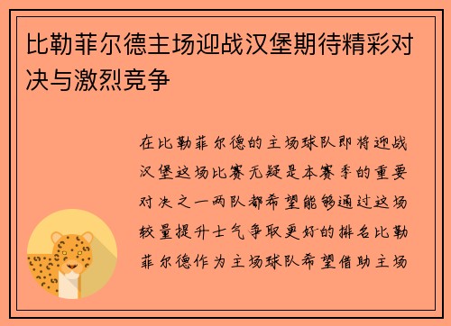 比勒菲尔德主场迎战汉堡期待精彩对决与激烈竞争
