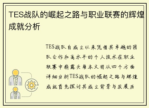 TES战队的崛起之路与职业联赛的辉煌成就分析