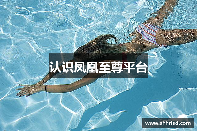 认识凤凰至尊平台